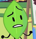 LEAFY OUTSIDDE